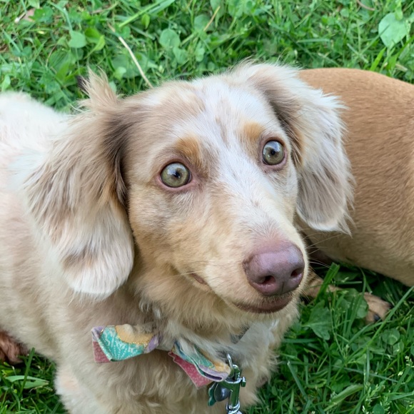 Share for share...⬇️⬇️⬇️⬇️. PLEASE read below. - Picture 7 of 16